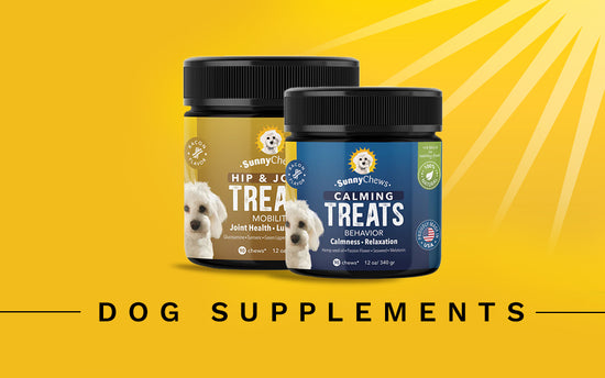 Dog Supplements